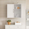 Badkamerkast Hangend - Medicijnkast - Cosmetica - badkamerkast hangend - Hangkast voor de Badkame