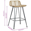 Barstoelen Natuurlijk Rattan